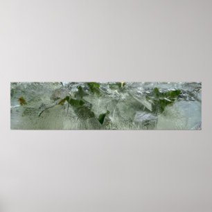 Poster Ice Ivy