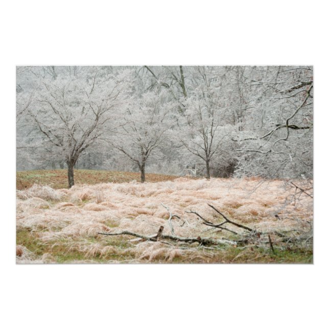 Póster Ice Storm Rural Tennessee - Fotografia Cena (Frente)