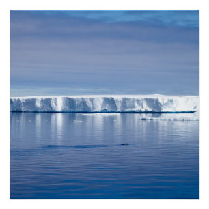Póster icebergue flutuante