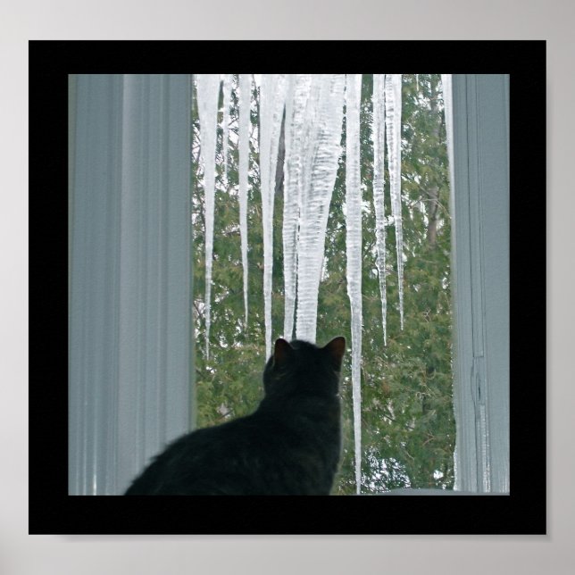 Póster Ícicles de inverno (Frente)