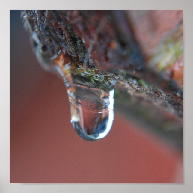 Póster Ícone colorido (Frente)