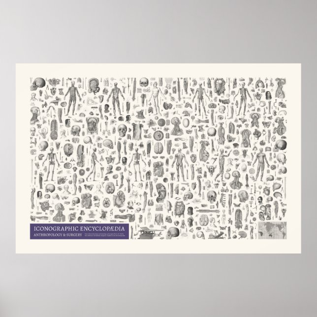Poster Iconografia - Antropologia e Cirurgia (Frente)