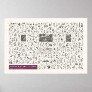 Poster Iconografia - Botânica