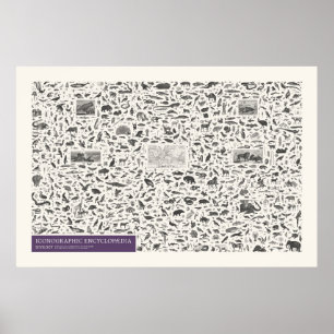 Poster Iconografia - Dados Zoológicos