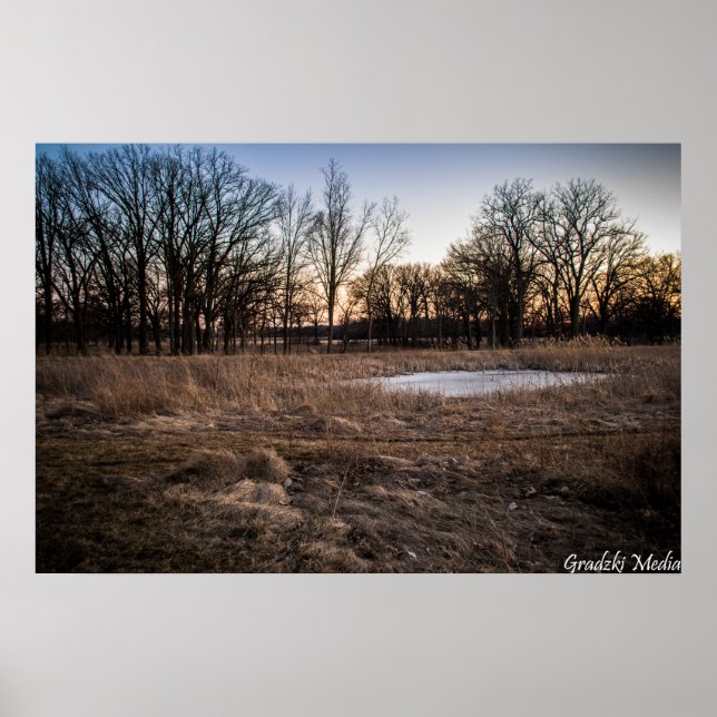 Poster Icy Primavera (Frente)