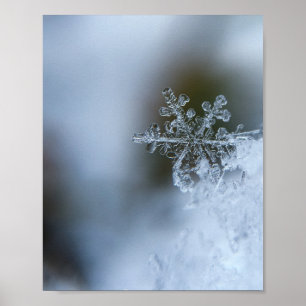 Poster Icy Snowflake