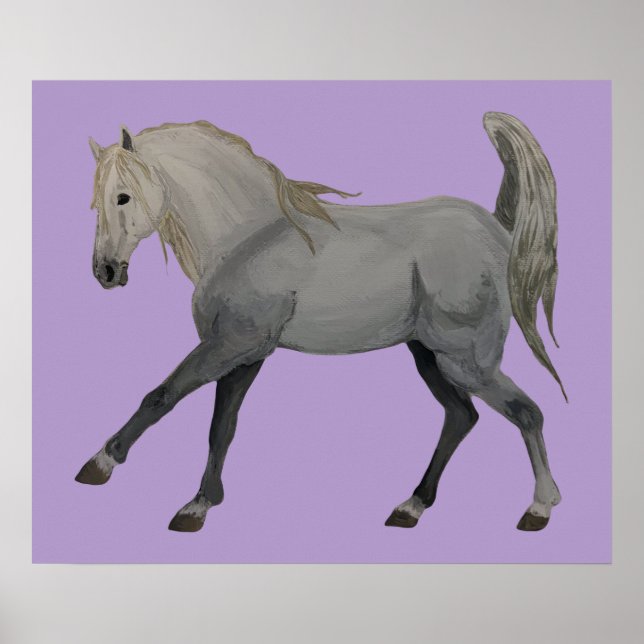 Poster Idade do Equestre (Frente)