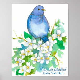 Póster Idaho State Bird Mountain Bluebird
