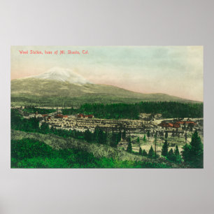 Póster Ideia aérea da estação da erva daninha na base 