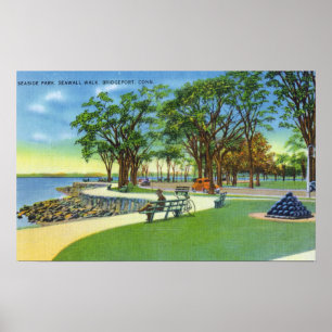Poster Ideia de parque de beira-mar da caminhada da