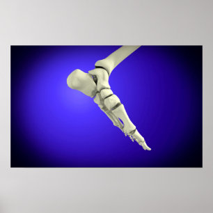 Póster Ideia do raio X do pé humano 2