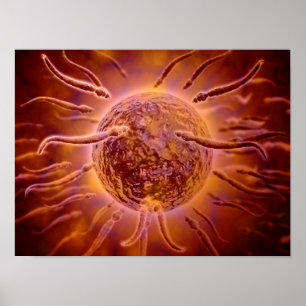 Póster Ideia microscópica da natação do esperma para o