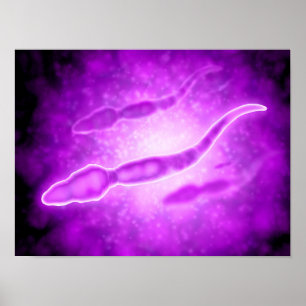Póster Ideia microscópica das pilhas de esperma