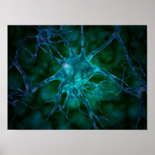 Póster Ideia microscópica das pilhas de nervo múltiplas