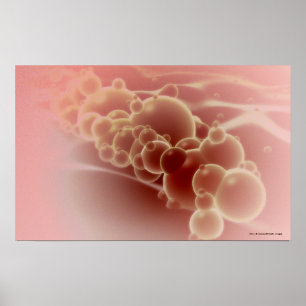 Póster Ideia microscópica de microsfera do látex