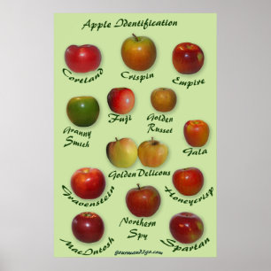 Póster Identificação de Apple