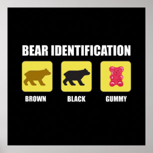 Poster Identificação de Urso Engraçado