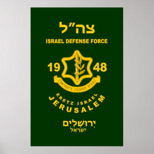 Poster IDF - Programa Voluntário Sar El