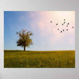 Poster Idílio campestre com pássaros