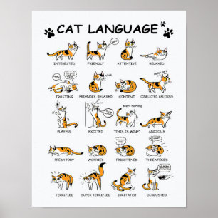 Poster Idioma de Gato, Gatinho Gato Engraçado, Ideia de 