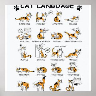 Poster Idioma de Gato, Gatinho Gato Engraçado, Ideia de G