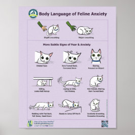 Poster Idioma do Corpo da Ansiedade Felina