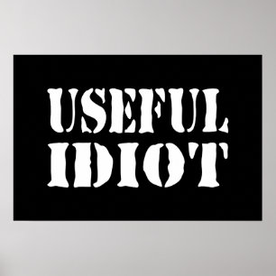 POSTER IDIOTA ÚTIL