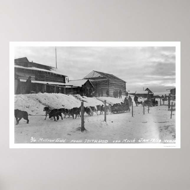 Poster Iditarod Alaska Birdseye 1914 (Frente)