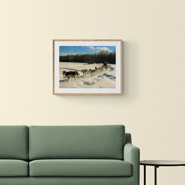 Poster Iditarod Trail Sled Race (Criador carregado)