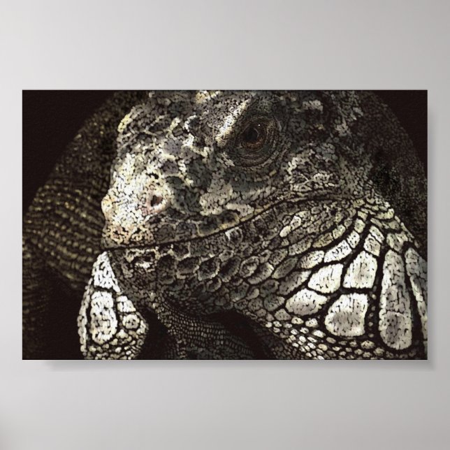 Poster Iguana (Frente)