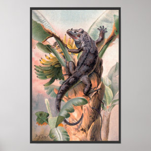 Póster Iguana Preta Tropical, Réptil Animal Selvagem Vint