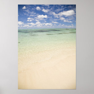 Poster Ile Aux Cerf, most popular day trip for