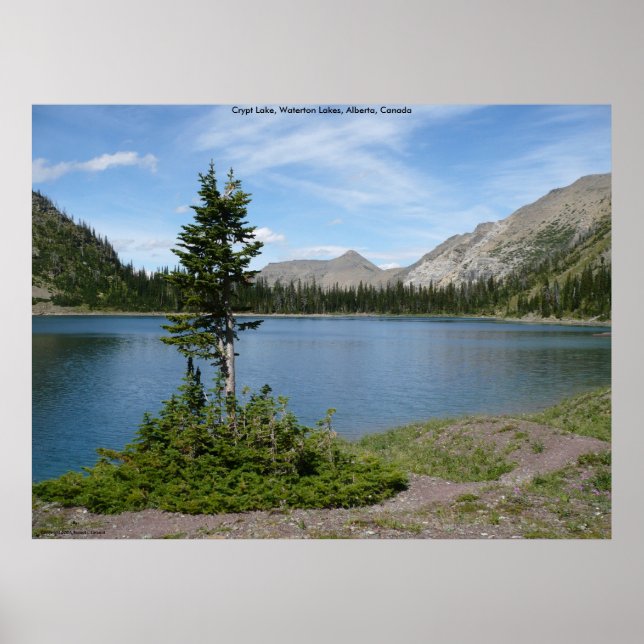 Póster Ilha (Frente)