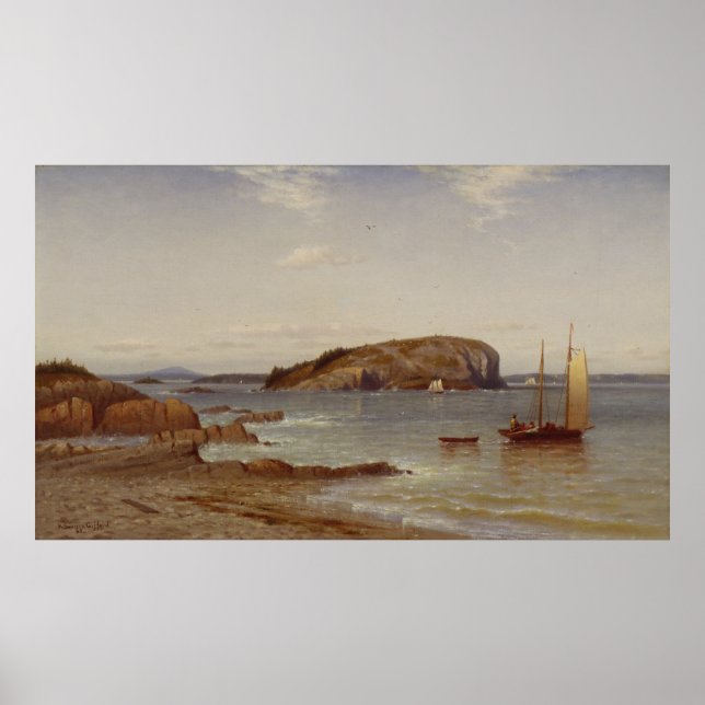 Poster Ilha Bald Porcupine | 1868 (Frente)