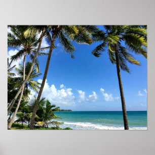 Poster Ilha Caribe, Martinica