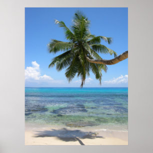 Póster Ilha da palmeira