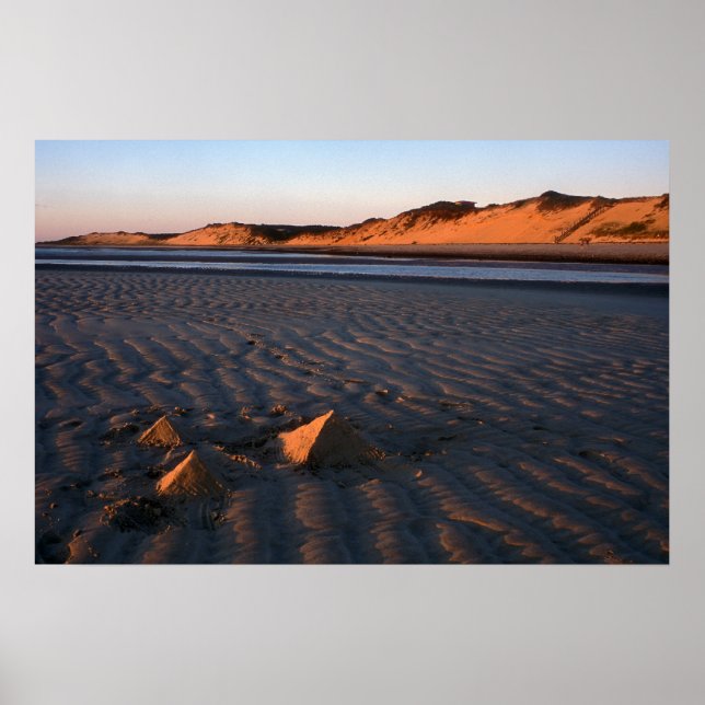 Poster Ilha de excelente: Frota de Wellfly Cape Cod (Frente)