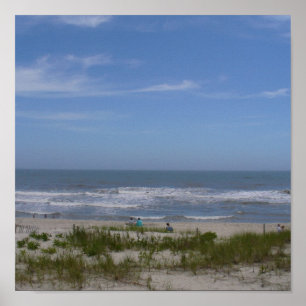 Poster Ilha de Long Beach
