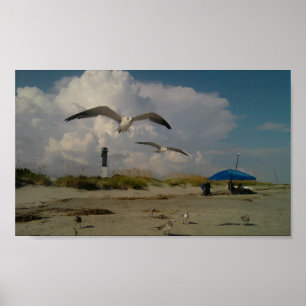 Poster Ilha de Sullivans, SC