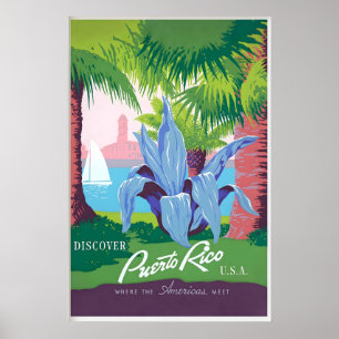 Poster Ilha do Caribe de Porto Rico Estados Unidos Vintag