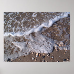 Póster Ilha do carvalho, North Carolina - areia e escudos