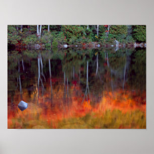 Póster Ilha do Deserto Acadia National Park, Maine