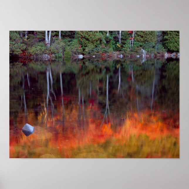 Póster Ilha do Deserto | Acadia National Park, Maine (Frente)