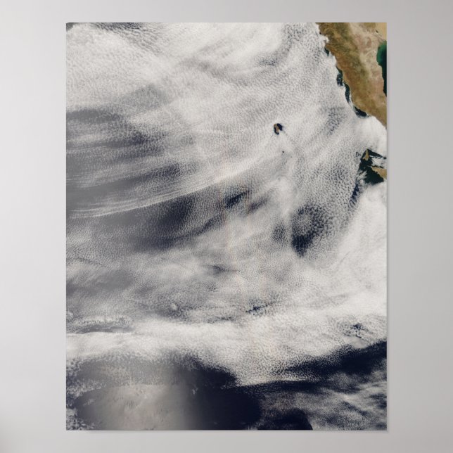 Póster Ilha Guadalupe (Frente)