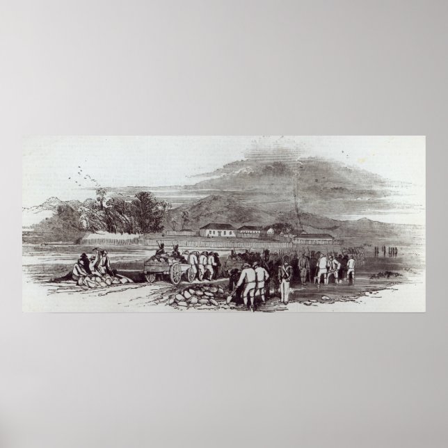 Poster Ilha Norfolk (Frente)