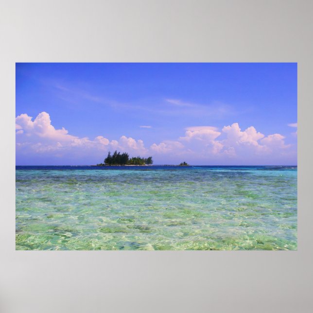 Poster Ilha solitário (Frente)