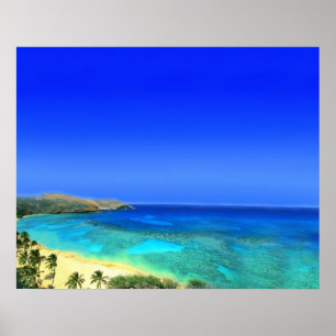 Póster Ilha Tropical