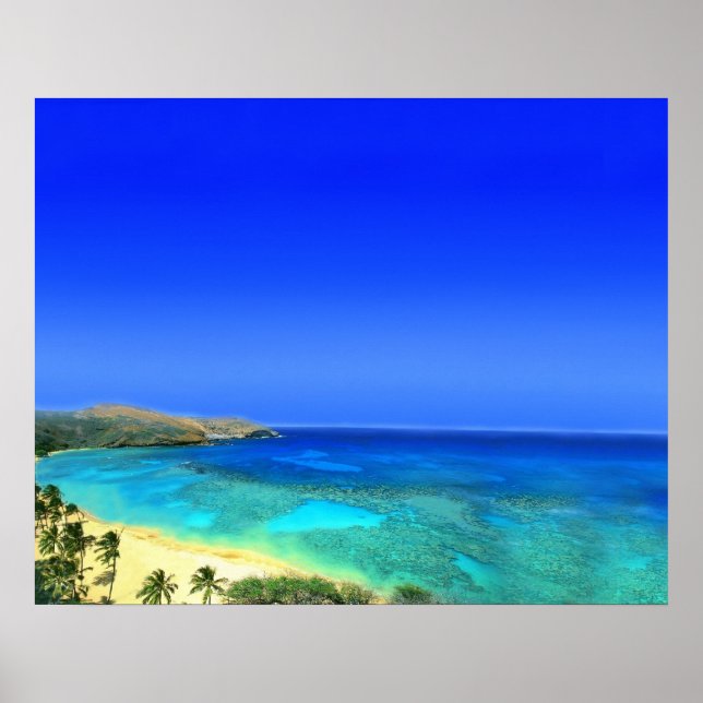 Póster Ilha Tropical (Frente)