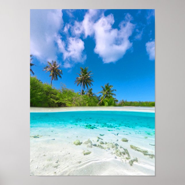 Poster Ilha Tropical de Coconut Palm Beach (Frente)