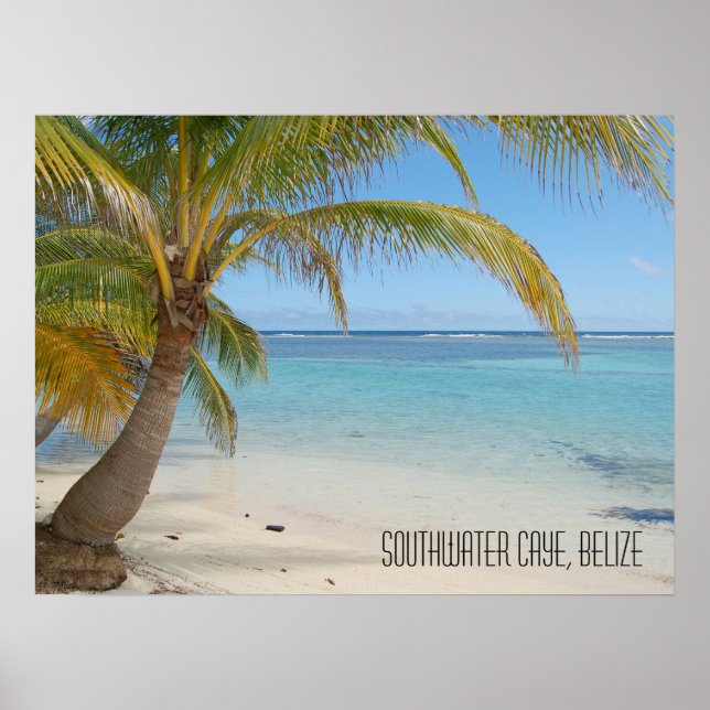 Poster Ilha Tropical do Caribe Belize Praia e Palmeiras (Frente)